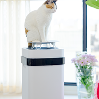 Filtre réutilisable Airdog X5, meilleur purificateur d'air pour éliminer la fumée et les odeurs d'animaux domestiques