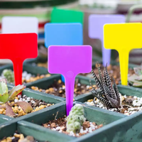 Étiquettes de jardin en plastique PP imperméable épaisses et améliorées, type T, 10x6 cm, 1 mm d'épaisseur, marqueurs de plantes pour pépinière