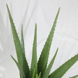 Plante succulente artificielle en plastique haute simulation à prix abordable, fabriquée en Chine, petite plante d'aloe vera pour décoration de bureau de Pâques - Product Image 3