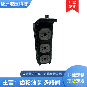 ปั๊มไฮดรอลิกสามเกียร์ Shengzhou Hydraulics รุ่น JHP สำหรับแท่นขุดเจาะแรงดันสูง สำหรับเครื่องจักรก่อสร้าง - Product Image 5