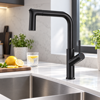 Robinet de cuisine extractible avec douchette, montage sur plan, rotation à 360 degrés, mitigeur d'évier pour maison, appartement, usage commercial