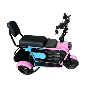 Petite boîte de rangement pratique batteries cachées tricycle à 3 roues siège amovible électro-tricycle