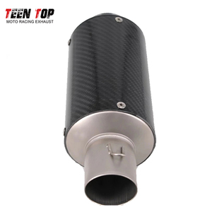 Silenciador de escape Universal de fibra de carbono de alta calidad para Benelli 752S BJ750GS para <span class=keywords><strong>Aprilia</strong></span> <span class=keywords><strong>RS660</strong></span>/Tuono660 Moto Escape - Product Image 3
