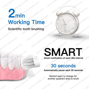 Brosse <span class=keywords><strong>à</strong></span> dents massante pour gencives, alimentée par batterie, nettoie en douceur et apaise les gencives sensibles - Product Image 4