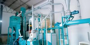 Macchina per la Macinazione del Mais 20T/24H per Sadza in Zimbabwe |   Impianto Completo per la Macinazione del Mais - Product Image 6