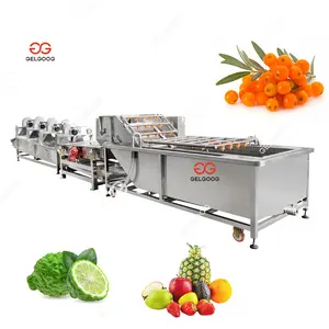 Comercial automático 200 kg/h cepillo de frutas limpieza máquina de procesamiento de espino amarillo lavadora de bergamota