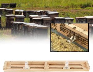 Trampa de polen de abeja de madera de 4 filas de alta calidad con herramientas de apicultura de entrada Nueva condición - Product Image 4