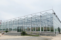 GT Smart Cadre en acier galvanisé à faible coût Serres solaires passives Venlo en verre trempé Fabricant agricole