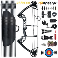 PANDARUS - Juego de Arco y Flechas Compuesto de Aluminio Metálico para Adultos, 20-70 Libras, Color Negro Camuflaje, para Caza y Tiro al Aire Libre