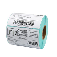 LTLL Mini rouleau d'étiquettes thermiques directes sans BPA 100x150mm 325 feuille d'imprimante de codes à barres étanche adhésif vierge bougie artisanat