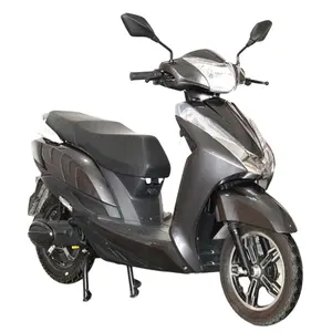 2024 Hot Sale Electric Scooter Bike High Power E Motorcycle 1000W 60V Electric Moped For Adults