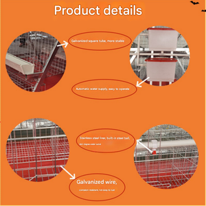 Cage pour poulets de ferme à 4 niveaux Système de cage automatique pour poulets de ferme Cage pour volaille Coq - Product Image 4