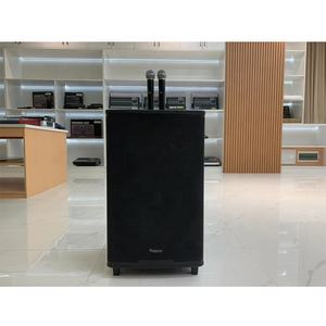 PL4410 <span class=keywords><strong>2023</strong></span> nouveau style meilleur prix 10 pouces haut-parleurs chariot Portable BT haut-parleur en bois - Product Image 6