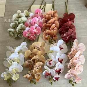 ดอกกล้วยไม้ฟาแลนนอปซิสประดิษฐ์ Jinxi ขนาด 30 ซม.-100 ซม. ดอกไม้ผ้าไหมสำหรับตกแต่งงานแต่งงาน ตกแต่งบ้าน และอุปกรณ์ประกอบฉากถ่ายภาพ - Product Image 2