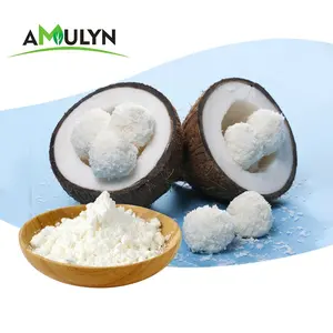 AMULYN Coconut Powder Coconut Water Powder Pulp Spray Dried Coconut Milk Powder For Sports Drink