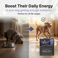 Poudre pour chiens en gros, marque privée OEM, complément alimentaire quotidien naturel pour toutes les races de chiens.