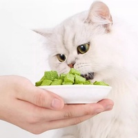 Poudre d'herbe de blé lyophilisée de qualité supérieure, riche en vitamines et en fibres, complément détoxifiant pour la santé des chats, complément alimentaire pour chats