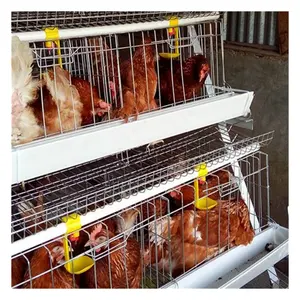 Un tipo di filo di acciaio zincato un set 96-200 di uccelli strato di uova gabbia di pollo disegno libero farm