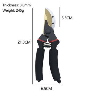 Forbici <span class=keywords><strong>da</strong></span> <span class=keywords><strong>Potatura</strong></span> di Alta Qualità per Fiori, Giardino e Alberi, Forbici Fai-<span class=keywords><strong>da</strong></span>-Te con Manico in Acciaio e Plastica per Frutta e Piante - Product Image 2