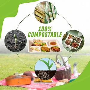 100% биоразлагаемая, Компостируемая, одноразовая, пригодная в микроволновой печи, лоток для пищевой бумаги, 5 отделений, многоразовая тарелка для сахарного тростника - Product Image 4