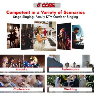 DB Crown ไมโครโฟนโลหะไดนามิก XLR 5 Core แข็งแรงและทนทานสำหรับการร้องเพลงและบันทึกเสียงที่มารวมถึงสาย XLR - Product Image 6