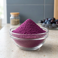 Hoogwaardig Nutrajun gevriesdroogd zwart Jamun fruitpoeder 100% zoete smaak veganistisch voedselingrediënt clean label bulk levering