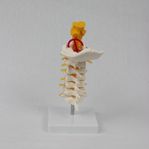 7 - Product Image 2