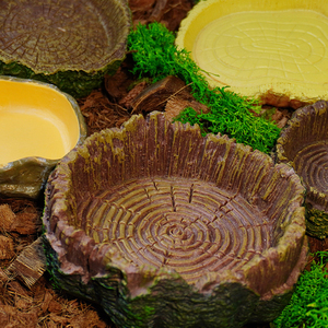 Décoration pour aquarium et terrarium de reptiles - Plateforme d'alimentation et abreuvoir décoratif - Product Image 5