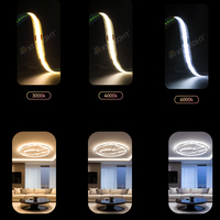 Bande lumineuse LED COB en cuivre 10MM DC 12V/24V 3000K-6000K IP20 Contrôle à distance/Wi-Fi Blanc chaud Ra90 11W/M 1000LM/M 50000 heures