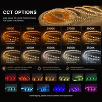 Bande LED CCT à blanc réglable 2835 120 LED/m PCB 8mm 12V 24V Double Couleur IP20 Carte Nue pour Profil d'Éclairage Linéaire