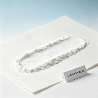 Poudre d'acide L-Aspartique Premium pour la Nutrition Sportive et la Récupération – Complément Alimentaire d'Acides Aminés – Vente Directe Usine