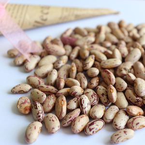 Fagioli Lenticolari Sfumati Chiaro all'Ingrosso Nihewan, Fagioli di Mirtillo Rosso Essiccati - Product Image 2