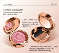 Rubor Mineral de Larga Duración para Pequeñas Empresas, Marca Privada, Logotipo Personalizado, Brocha con Espejo, Vegano, Alta Pigmentación, Estuche Color Oro Rosa, Polvo Brillante