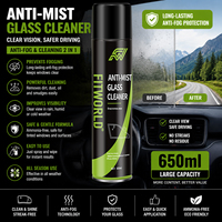 FITWORLD 650ml OEM ODM Limpiador de Ventanas Automotrices en Aerosol, Protección Antivaho de Larga Duración, Producto para el Cuidado del Automóvil