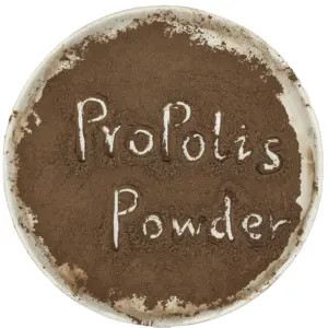 China Manufacturer Supply Refined Propolis 60%-90% Bee Propolis Extract Powder export to Australia