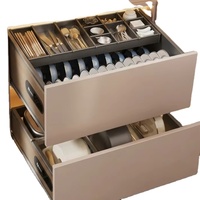 UZIA F70.5 Panier coulissant de rangement pour armoire de cuisine, 2 niveaux, en acier inoxydable, égouttoir à vaisselle, organisateur de bols, robuste avec amortissement