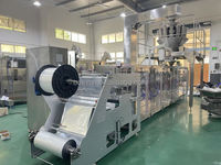 Machine d'emballage horizontale HFFS 1 kg pour snacks, noix, chips de banane, café, sucre, fermeture éclair, Doypack