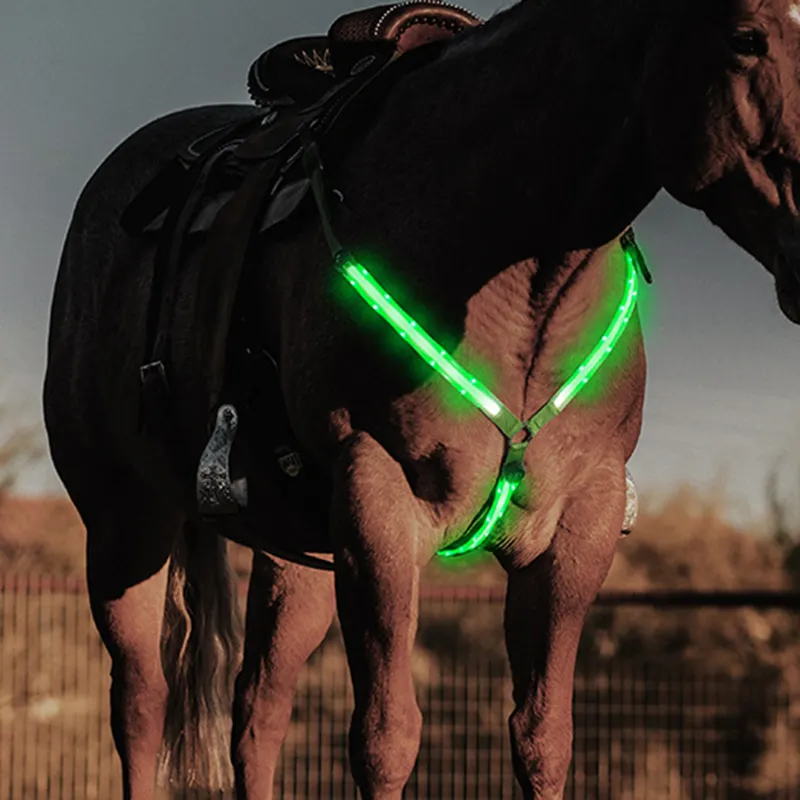Cavallo notturno che cammina ingranaggio di avvertimento equestre Led lampeggiante imbracatura da guida al seno cavallo fascia toracica