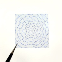 Étiquette autocollante personnalisée en PET robuste 3D Nano Micro Optique, hologramme transparent anti-contrefaçon, feuille lenticulaire découpée, imprimée CMYK