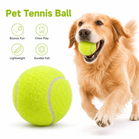Jouets à mâcher interactifs en peluche durables et écologiques pour le nettoyage des dents, balle de tennis pour chien, rebondissant, pour l'exercice en extérieur et en intérieur