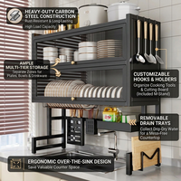 Suporte de Armazenamento para Pia de Cozinha em Metal Ecológico e Durável, Rack Multifuncional de Duas Camadas para Pratos, Colheres e Tigelas