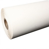 Rouleau de film de transfert thermique PET pour impression numérique DTF à encre blanche, pour le positionnement de strass sur vêtements, chaussures, sacs, pour usine