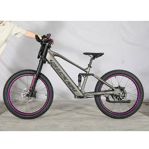 Vélo Électrique d'Équilibre Personnalisé de Course 24 Pouces 48V 15Ah 1500W Grande Puissance Moteur 70Km/h pour Enfants, Jeunes et Adolescents - Product Image 3