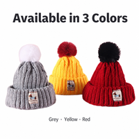 Bonnet tricoté pour animaux de compagnie avec trous pour les oreilles, bonnet chaud d'hiver pour petits chiens, chats, chiots, chatons, casquette thermique, vente en gros directe d'usine