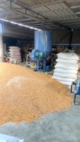 Broyage et mélange d'aliments de haute qualité tout en un Machine universelle pour poulets canards poissons et porcs directement du fabricant