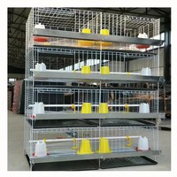 Système de cages à poulets de type H galvanisé durable pour l'élevage avicole à grande échelle
