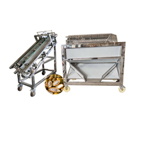 Équipement de décorticage de fèves de cacao fraîches, broyeur de fèves de cacao, machine à décortiquer les fèves de cacao fraîches