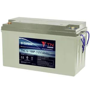 Latest new design deep cycle rechargeable TNC lead-carbon battery with 100Ah for energy storage