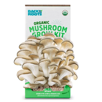 Boîtes d'emballage en carton ondulé pour kits de culture de champignons biologiques avec impression personnalisée