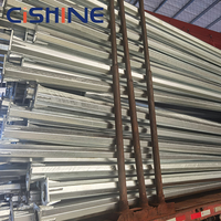 Postes de Alumbrado Público Galvanizados de 4m, 5m, 6m, 8m, 9m, 12m para Carreteras, Jardines, Estacionamientos y Estadios, Diseño Gratuito del Fabricante